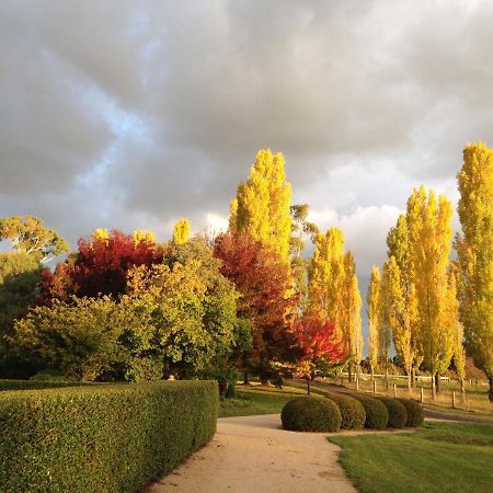 Glen Waverly Farmstay Ґлен-Іннес Екстер'єр фото
