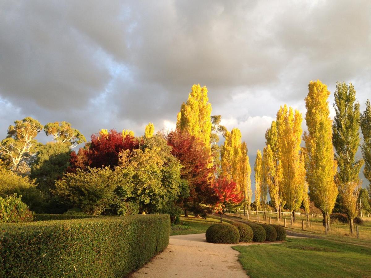 Glen Waverly Farmstay Ґлен-Іннес Екстер'єр фото