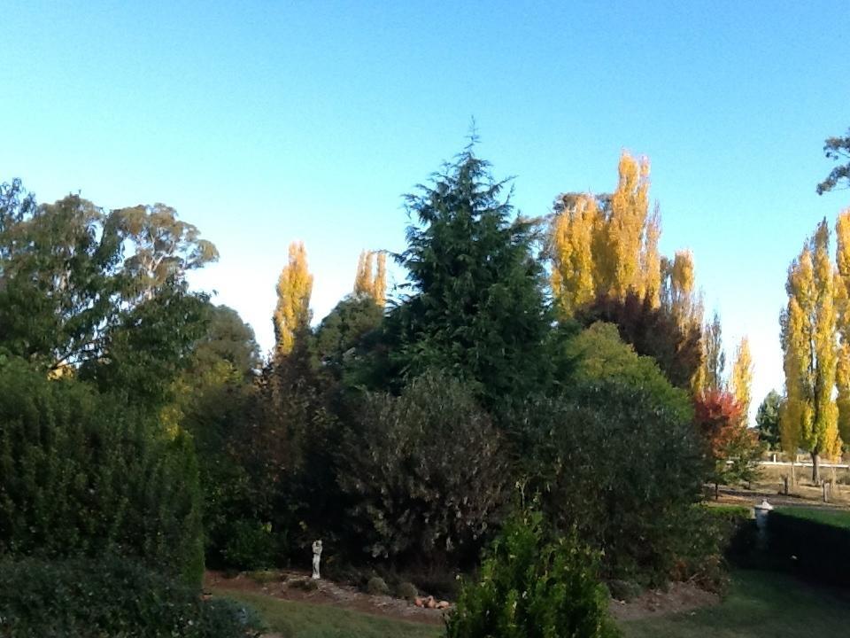Glen Waverly Farmstay Ґлен-Іннес Номер фото