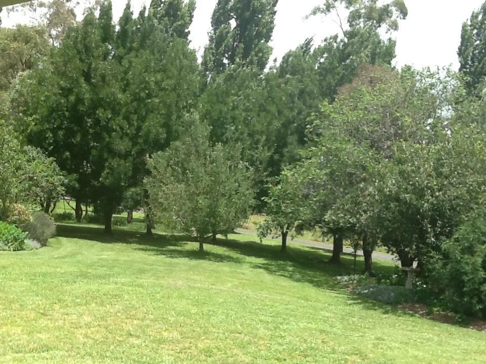 Glen Waverly Farmstay Ґлен-Іннес Номер фото