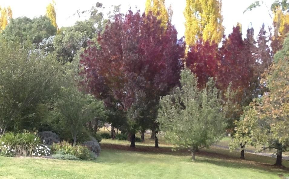 Glen Waverly Farmstay Ґлен-Іннес Номер фото