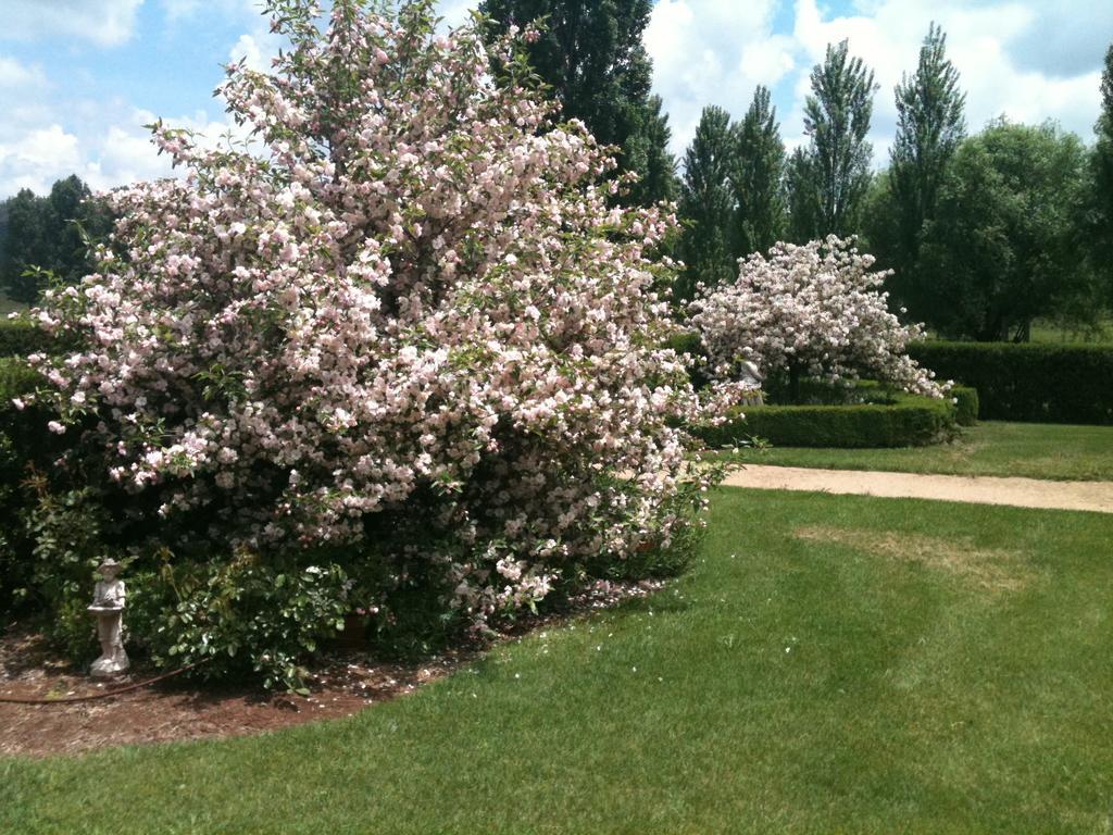 Glen Waverly Farmstay Ґлен-Іннес Екстер'єр фото